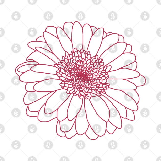 Viva Magenta Gerbera Floral Line Drawing Color of the Year 2023 by ellenhenryart