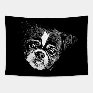 Shaved Tzu Tapestry