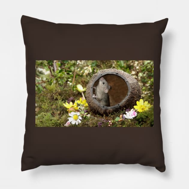 Little mouse in a coconut shell Pillow by Simon-dell