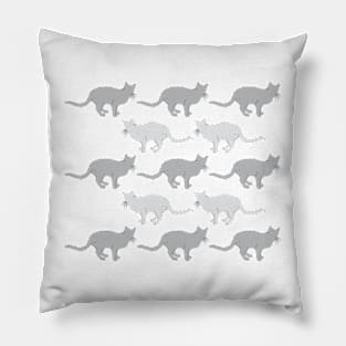 Gray Cats Pillow