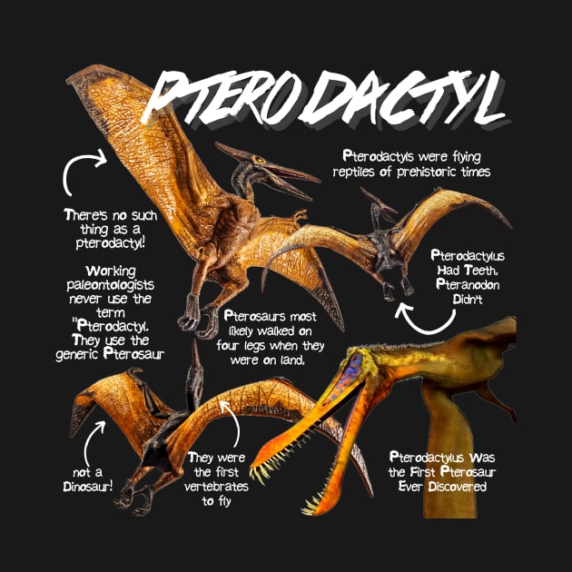 Pterodactyl Fun Facts by Animal Facts and Trivias