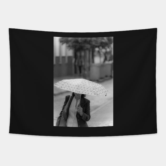 Rain in Spain Tapestry by ansaharju