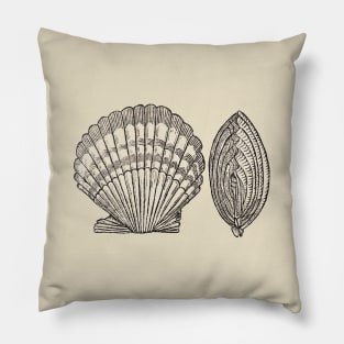 Seashell Pillow