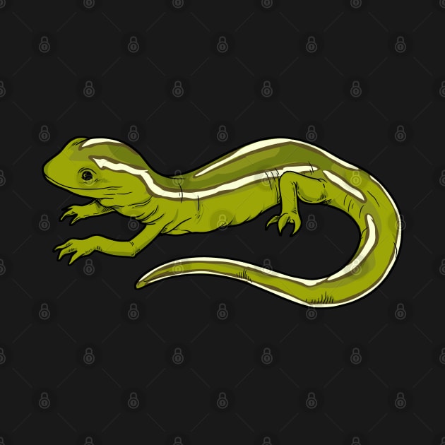 Drawing of a gecko by Modern Medieval Design