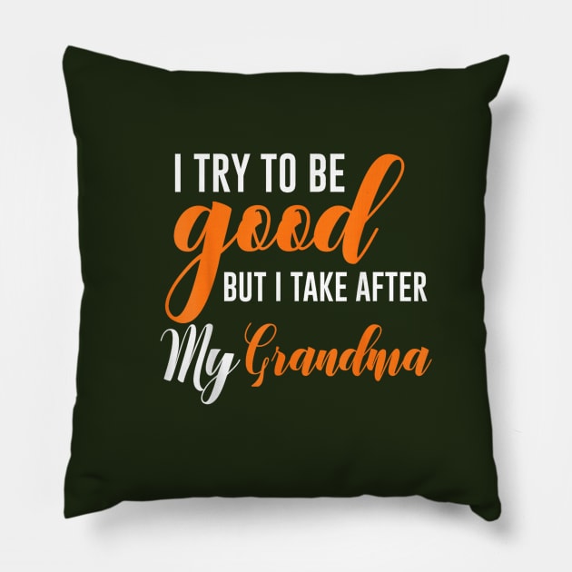 I try to be good but i take after my grandma Pillow by WILLER