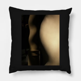 Column Art Pillow