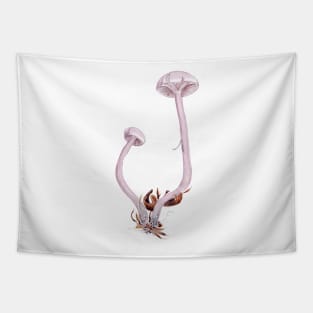 Laccaria amethystina Tapestry