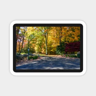 Country road in Autumn Magnet