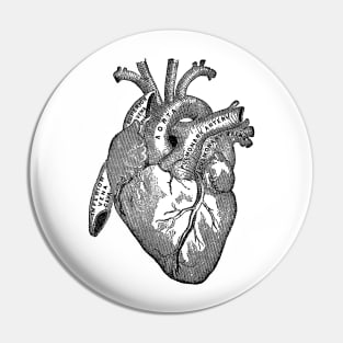 Antique Anatomy Illustration of Human Heart Pin