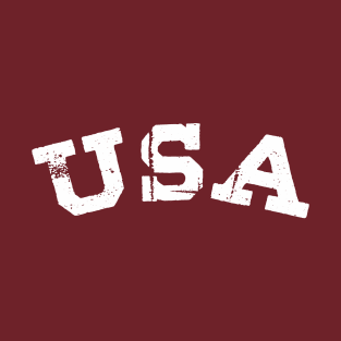 Retro USA Comfort T-Shirt T-Shirt