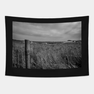 A view across the reed bed in the Norfolk village of Acle Tapestry