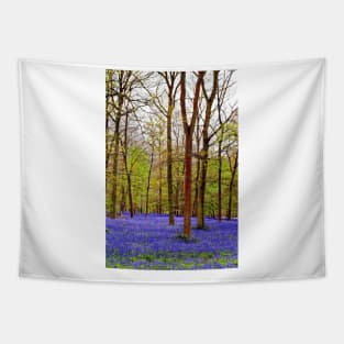 Bluebell Woods Greys Court England UK Tapestry