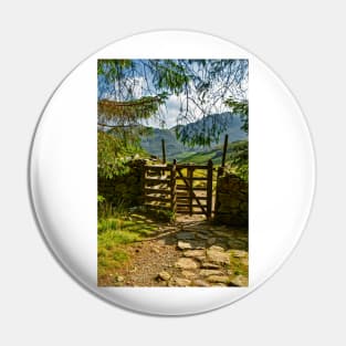 Is it a Gate or is it a Stile Pin