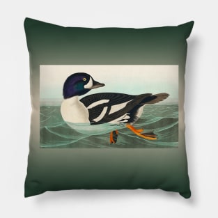 Common Goldeneye Duck Birder Antique Look Birding Water Foul Pillow