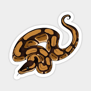 Ball Python Magnet