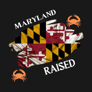 MARYLAND RAISED MARYLAND FLAG SET DESIGN T-Shirt