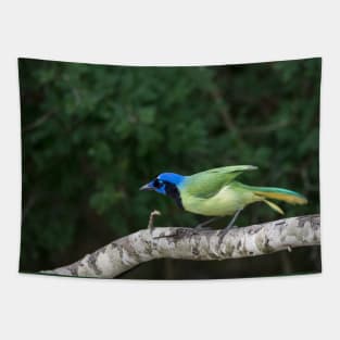 Green Jay Out On A Limb Tapestry