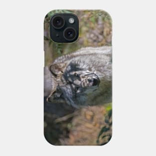 Timber Wolf Phone Case