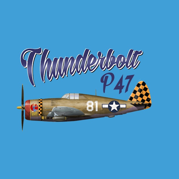 Thunderbolt P-47 Fighter by Spyinthesky