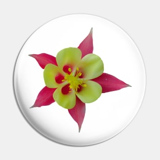 Vibrant Colorado Red and Yellow Columbine Flower Pin