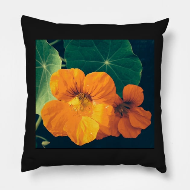 Cheerul Orange Nasturtium and the Star Leaf Pillow by Photomersion