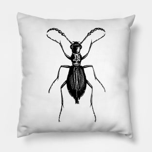 Beetle Pillow