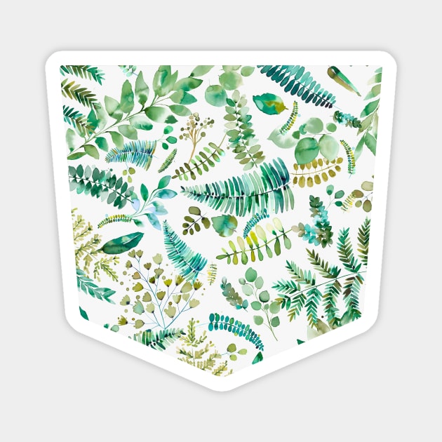 Pocket - BOTANICAL LEAVES AND PLANTS BIO GREEN Magnet by ninoladesign