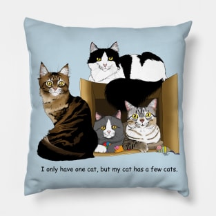 My Cat has Cats. Pillow