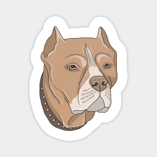 Red nose Pitbull Magnet