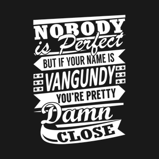 Nobody is Perfect VANGUNDY Pretty Damn Close T-Shirt