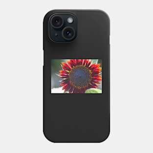 Sun Fire Phone Case