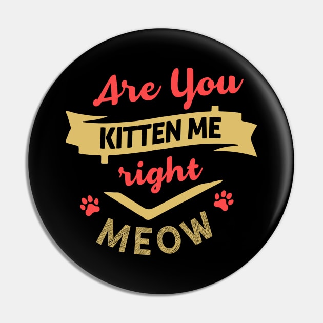 Are You Kitten Me Right Meow Pin by pako-valor