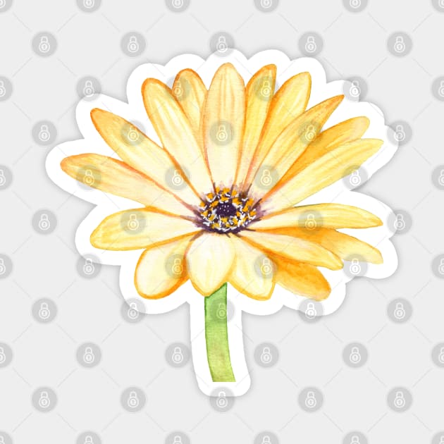 Yellow gerbera flower Magnet by Savousepate