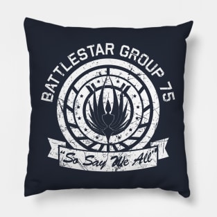 BSG 75 Distressed Pillow