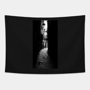 Darktown/Genoa #12 Tapestry