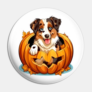 Australian Shepherd Dog inside Pumpkin #3 Pin