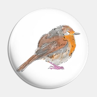 Robin Pin