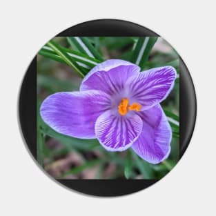 Purple, white and orange flower 3 Pin