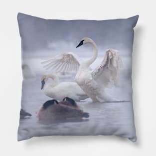 Trumpeter Swans in the mist. Pillow