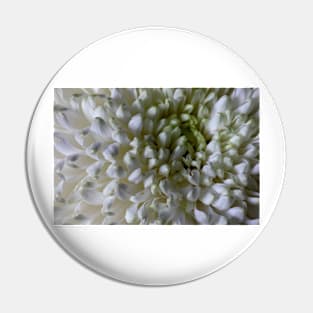 Classic Chrysanthemum Macro Pin