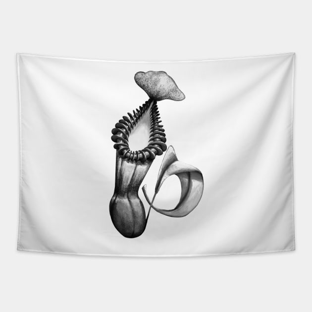 Botanical Carnivorous Plant Drawing Nepenthes Edwardsiana Pitcher Tapestry by Venus Fly Trap Shirts