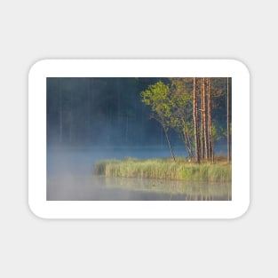 Forest reflecting to small lake at morning Magnet