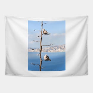 Eurasian Collared Dove Tapestry