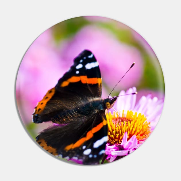 Red Admiral Butterfly Pin by JeanKellyPhoto