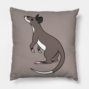 Gambian Pouched Rat Pillow
