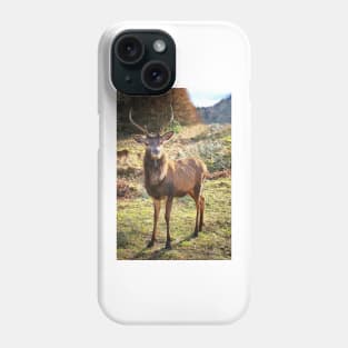 Highland Stag Phone Case