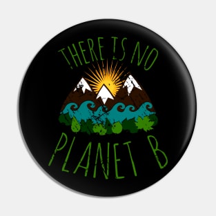 there is no planet b Pin