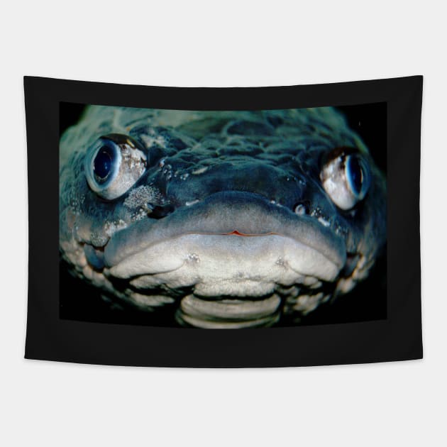 Grumpy Fish Tapestry by WaterGardens