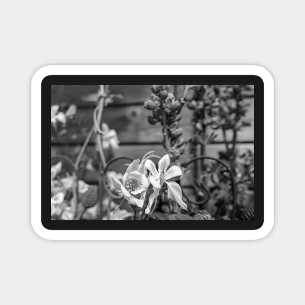 English flower garden Magnet by yackers1