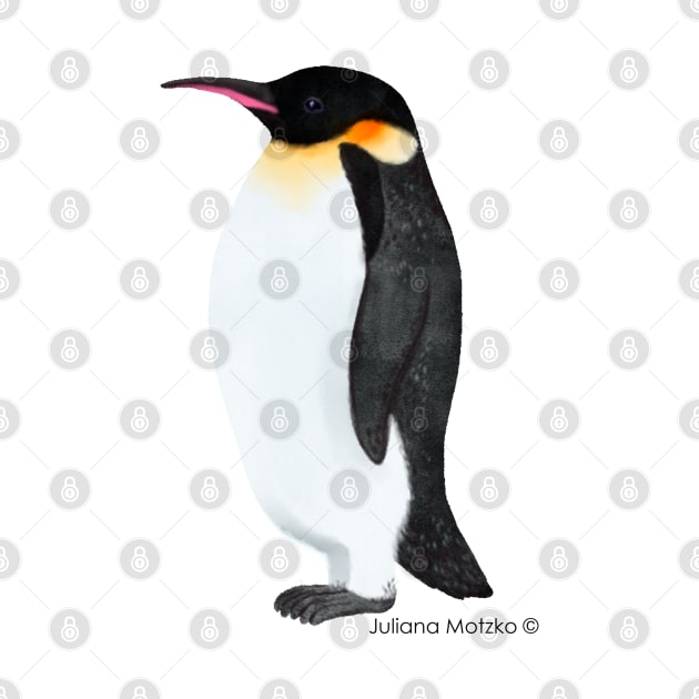 Emperor Penguin Realistic Illustration by julianamotzko